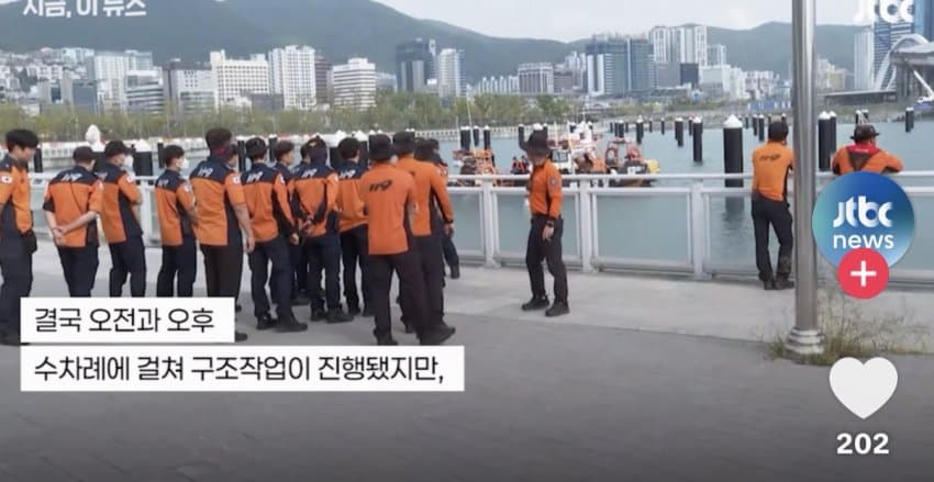 부산 상어.... 부캉이 구조 실패 ㄷㄷ...News (6)