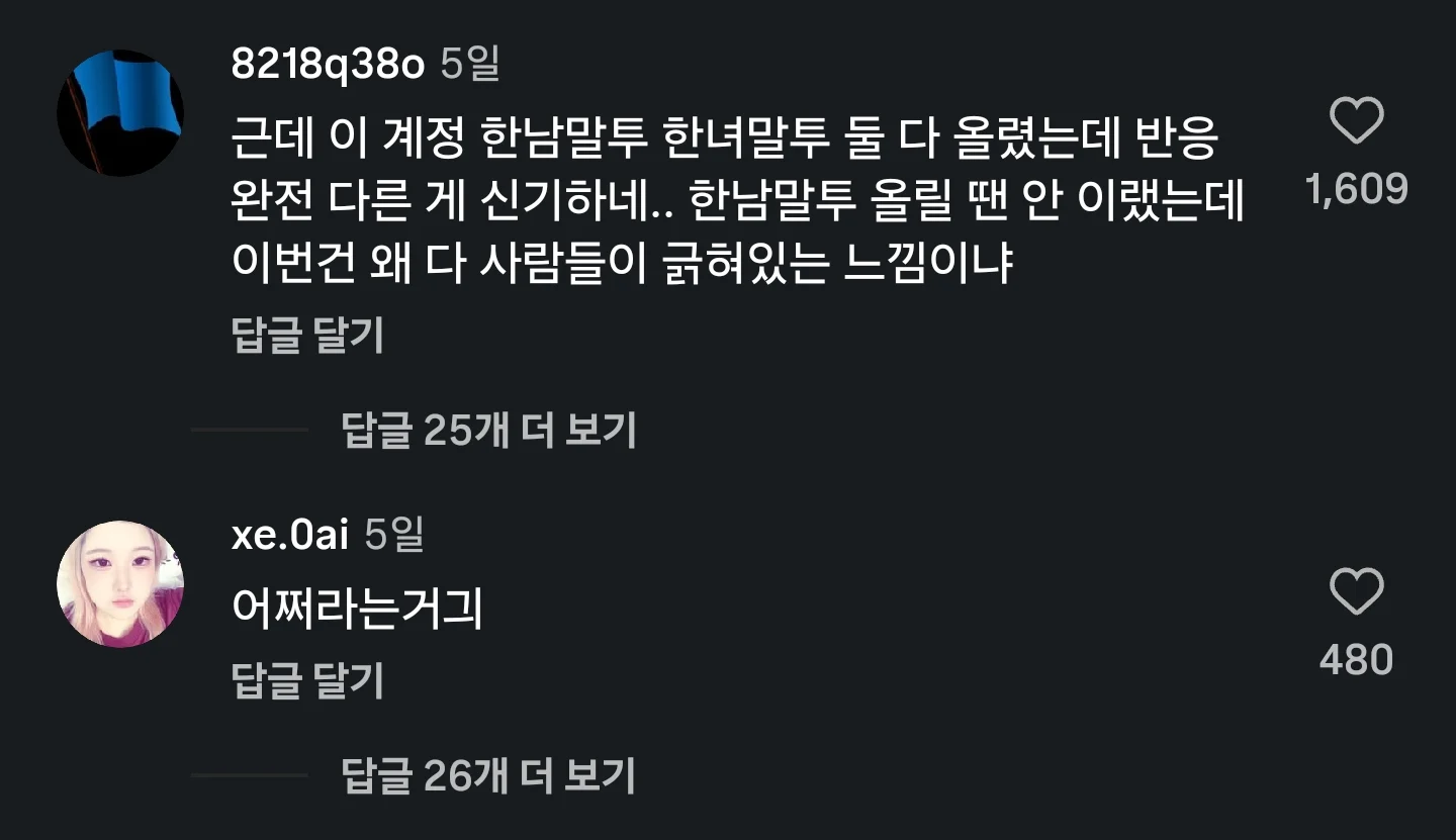 개짜치는 한녀말투 벌금표 (4)
