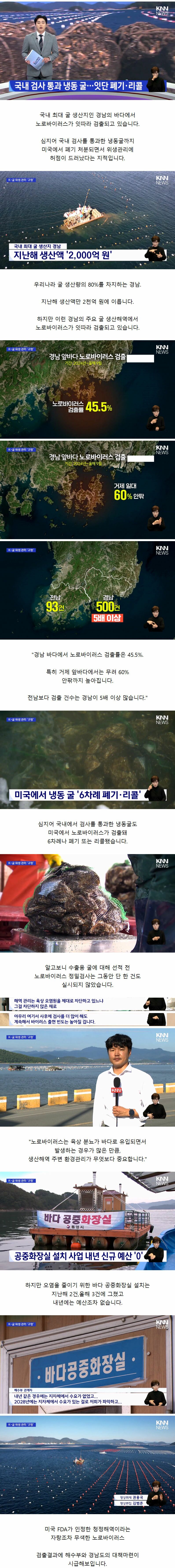 현재 노로바이러스 때문에 비상 걸렸다는 경남 굴 근황