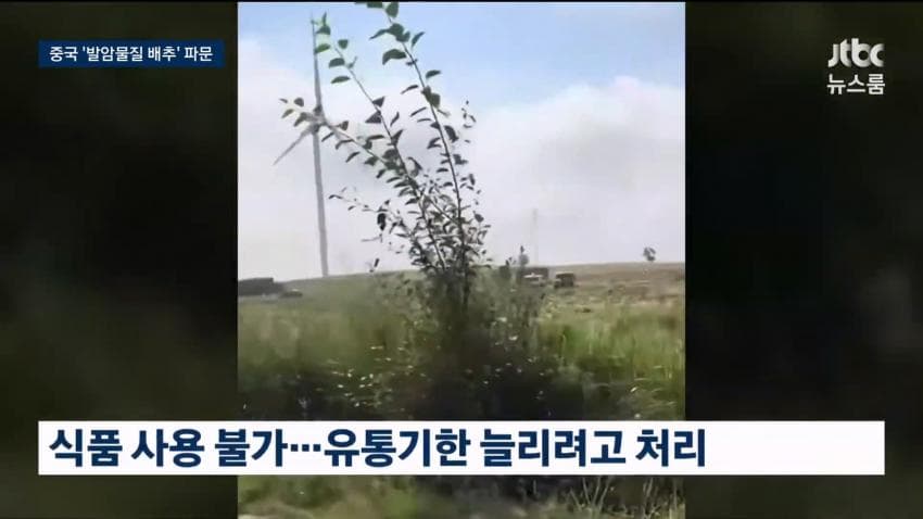 중국 배추 시신 보존제 발암물질 범벅…한국'중국산 김치'수입량 역대 최대 (13)