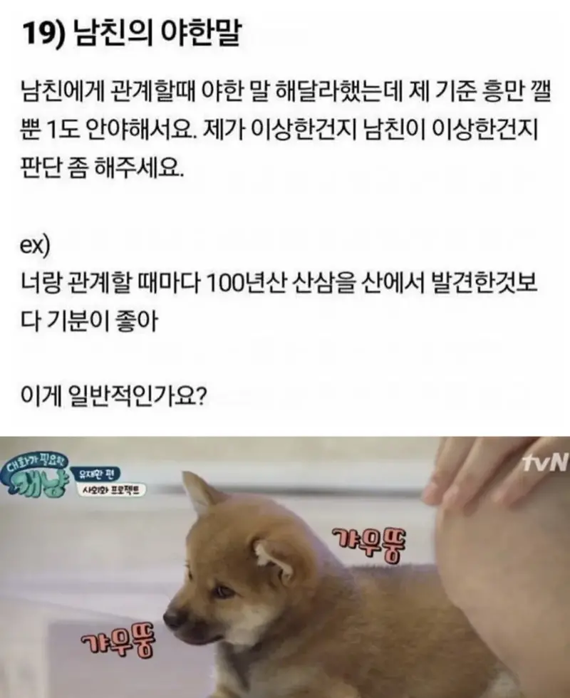 19) 남친의 야한말..