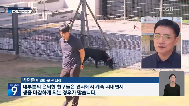 국가 위해 헌신한 퇴역견…은퇴 후 관리는 ‘나몰라라’ (5)