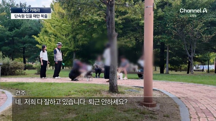 채널a) 단속원 퇴근하자...공원이 '개판' (16)