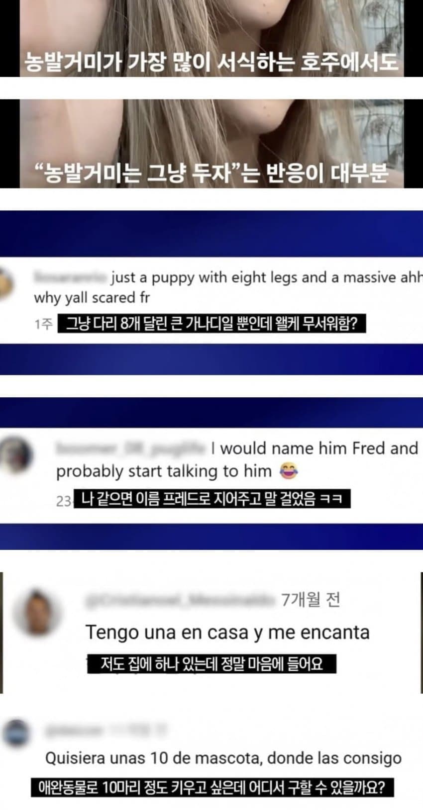 거미거미 징그럽고 큰데 이로운 거미 (4)
