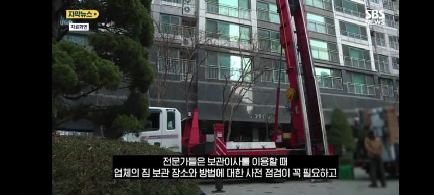 보관이사 맡겼다가 곰팡이, 벌레로 가구 다 망가진 제보자 (27)