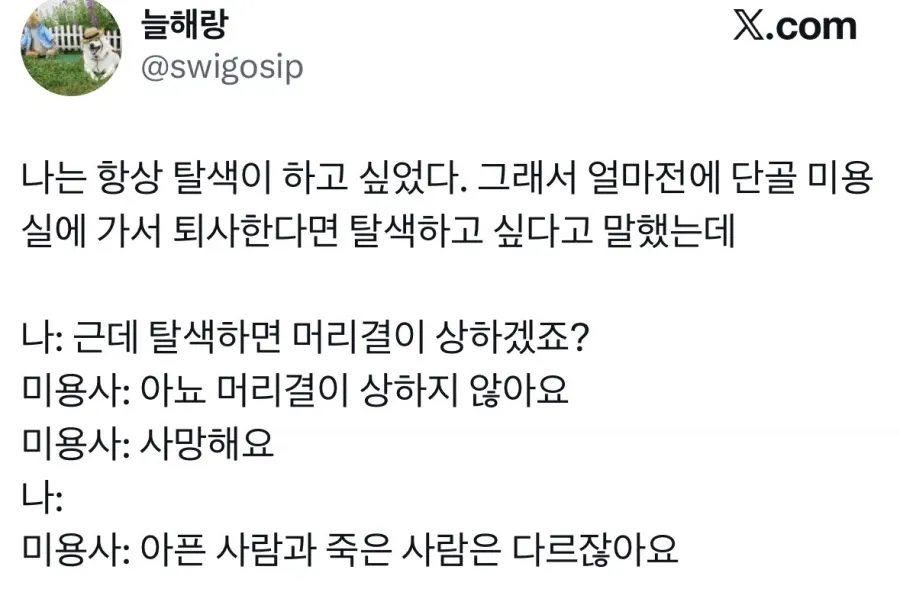 탈색한다고 머릿결이 상하는 건 아니다
