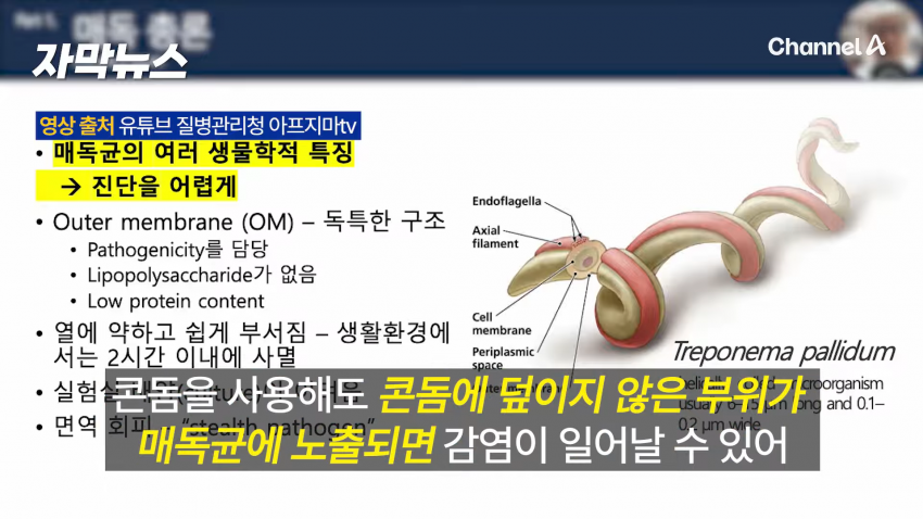 매독 감염자 확산, 한국 2030 남성 상당수(?) (12)