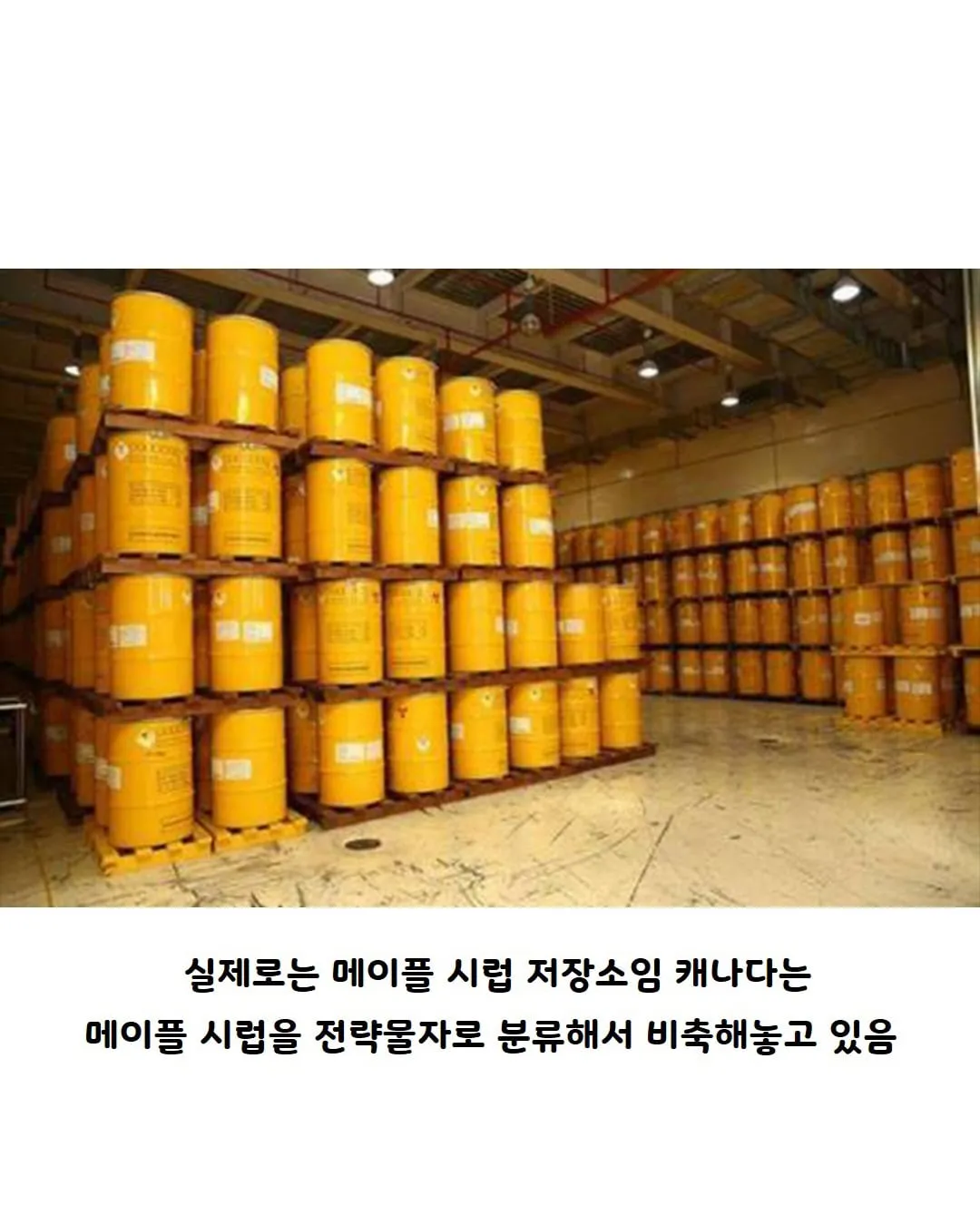캐나다의 전략 물자 (2)