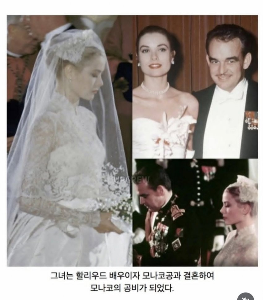 유전자 세탁 성공한 모나코 공국 왕실(공실)