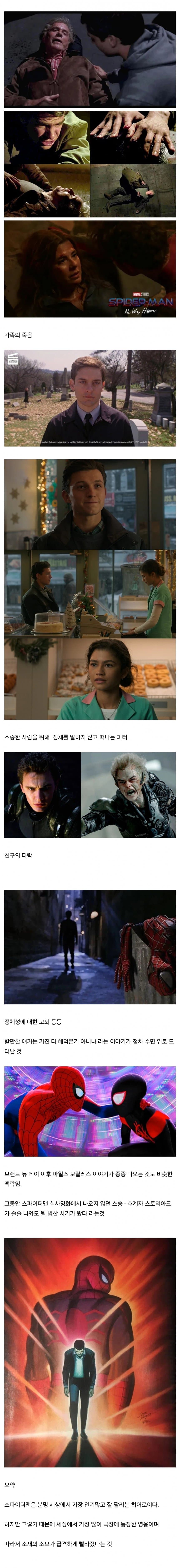 이동진이 평하는 스파이더맨 시리즈의 한계 (2)
