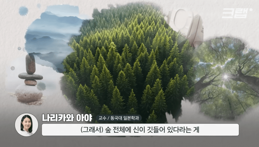 깜짝 .. 일본숲이 유독 무서운 이유 ㄹㅇ . (31)