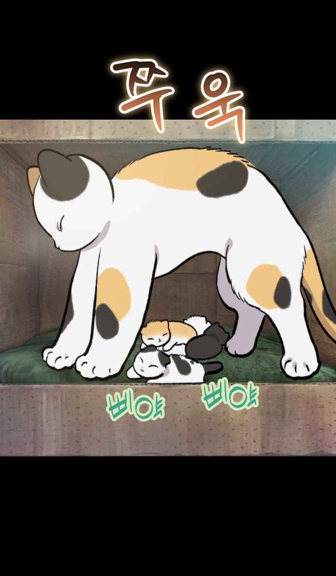 고양이 찬양 하는 만화 (17)