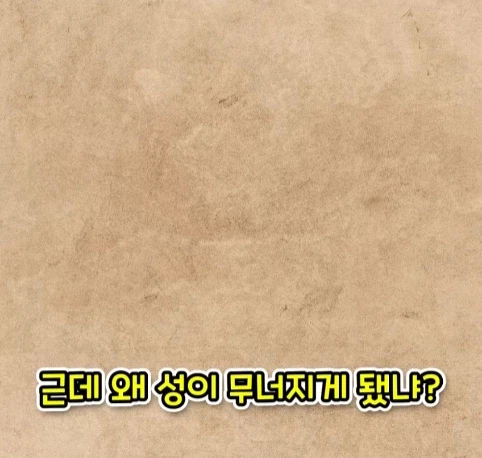 웬 ㅁㅊㄴ 때문에 사라진 1200년 된 유적 (22)