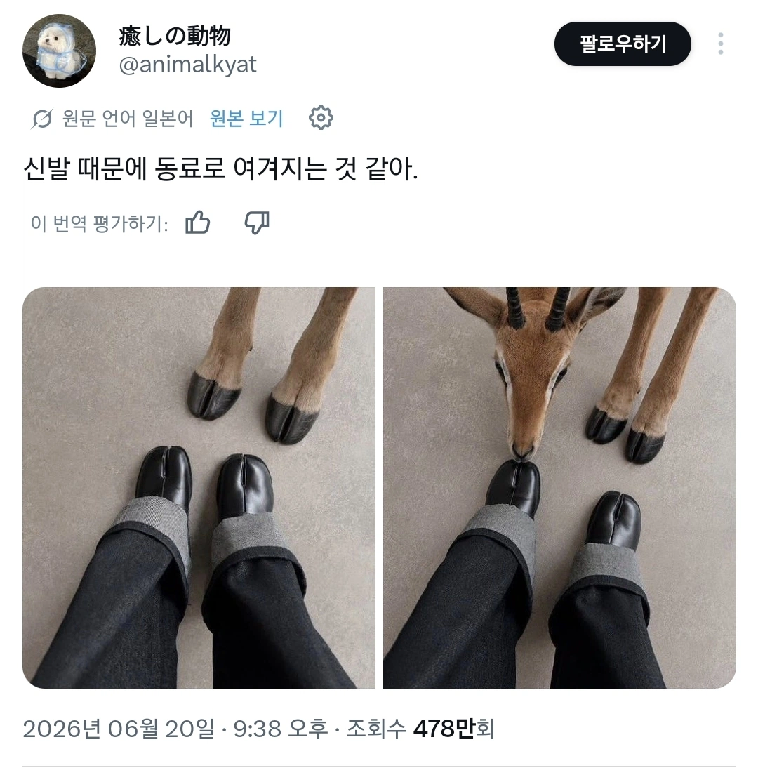신발 때문에 동료로 여겨지는 것 같아