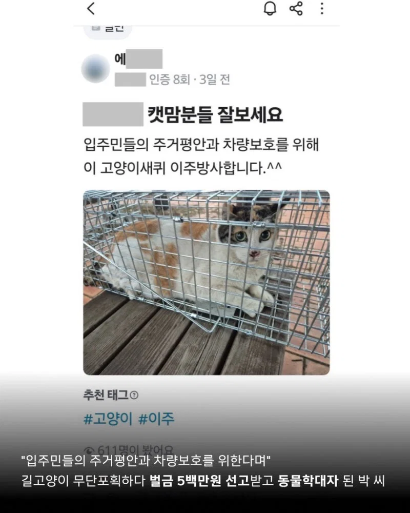 길고양이 갯벌에 무단 방사해서 익사시키고 캣맘 조롱한 남성 동물학대죄 인정 받음 (11)