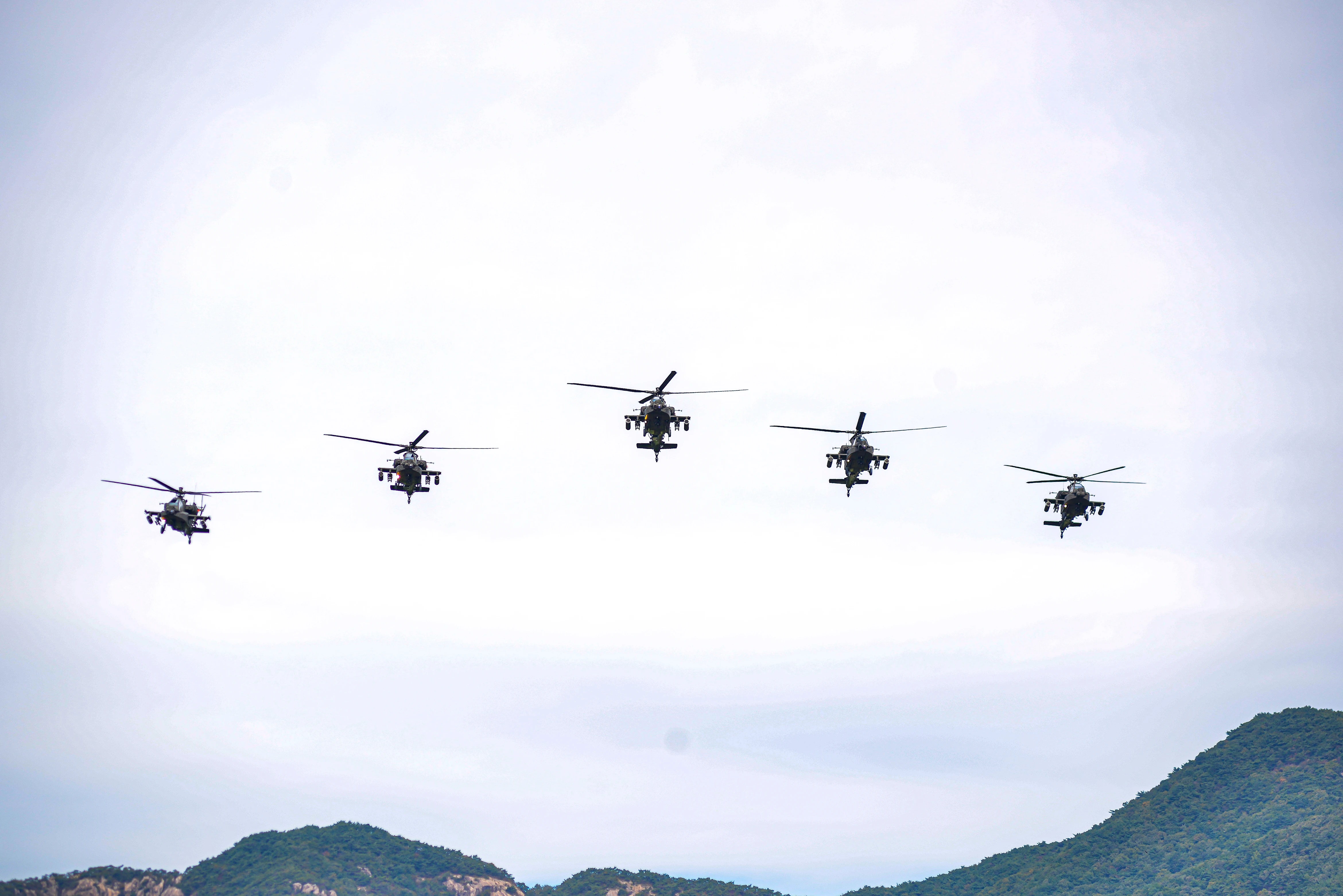 지상군페스티벌 (5)