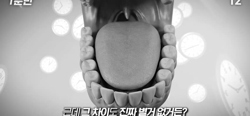 학교에서 배운 '혀 맛' 지도가 잘못됐다..? (33)
