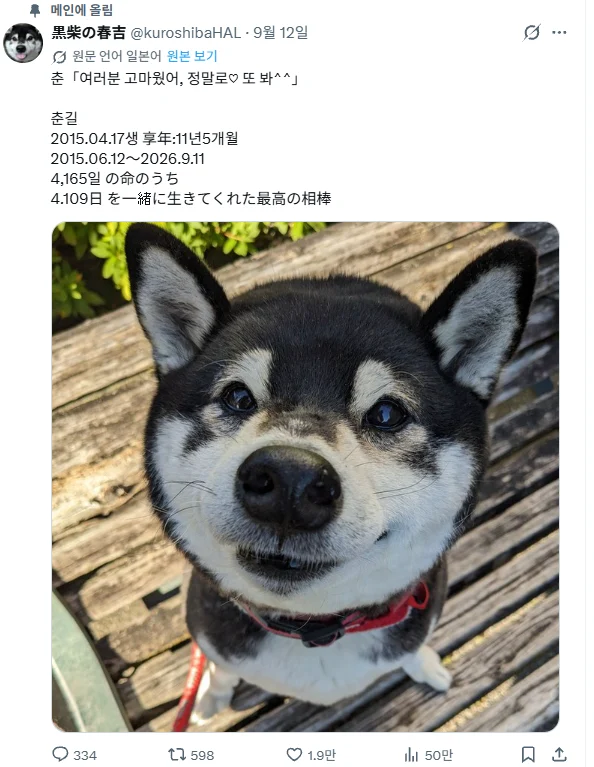 웃긴 일본 아저씨인줄 알고 계정 구경했다가 눈물 쏟은 한국인 (2)