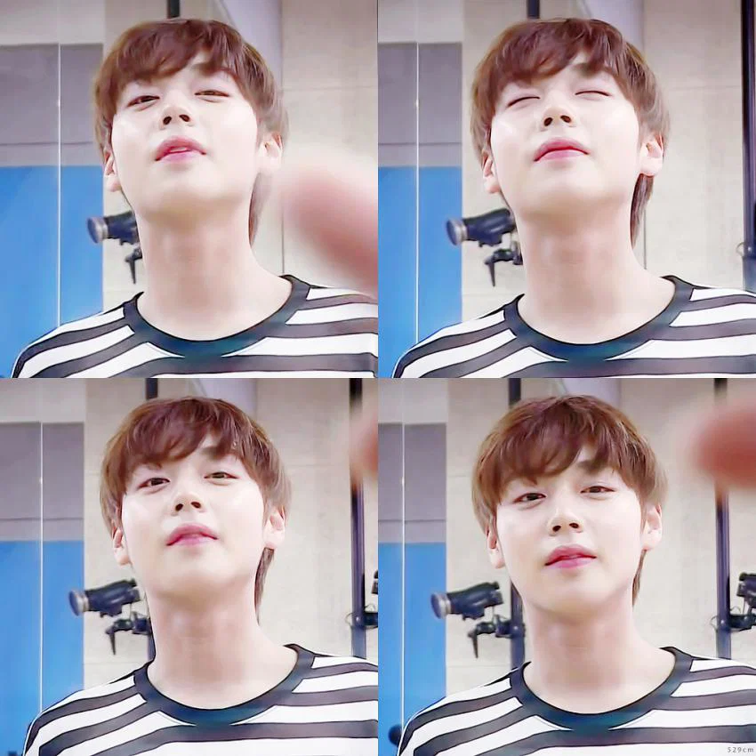 프듀2 당시 박지훈 비주얼 (12)