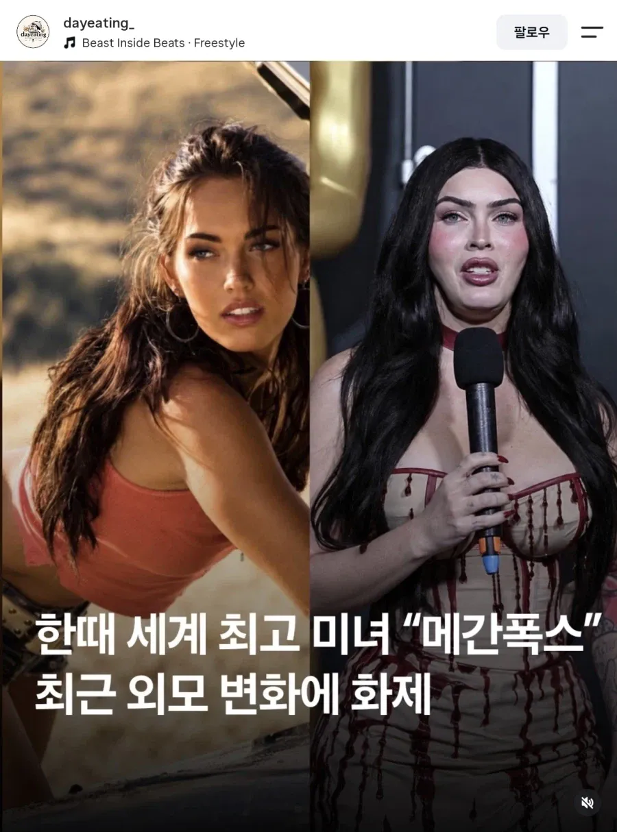 트랜스포머 미녀 메간 폭스 근황
