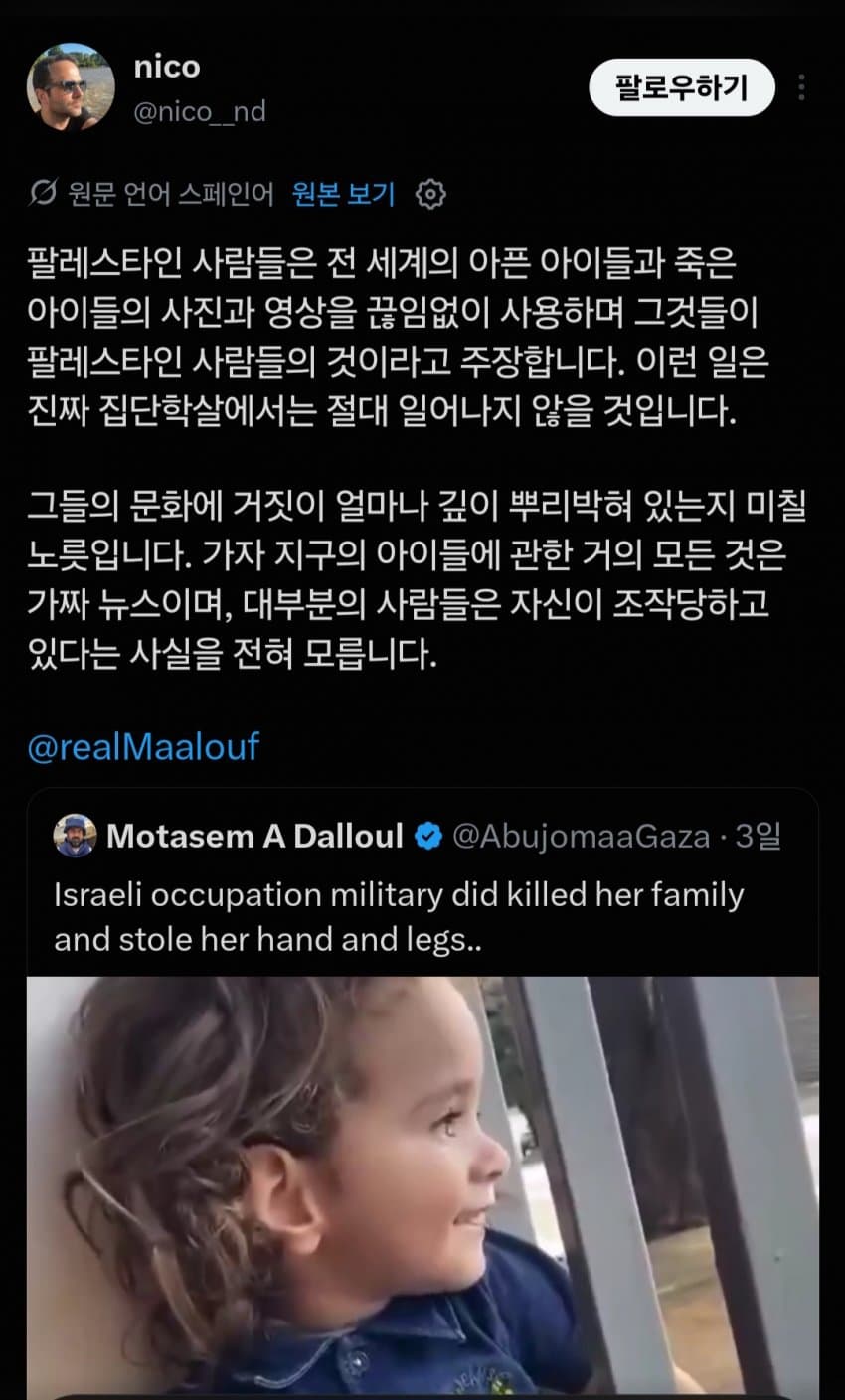 끊임없는 팔레스타인 가짜뉴스 근황... jpg (11)