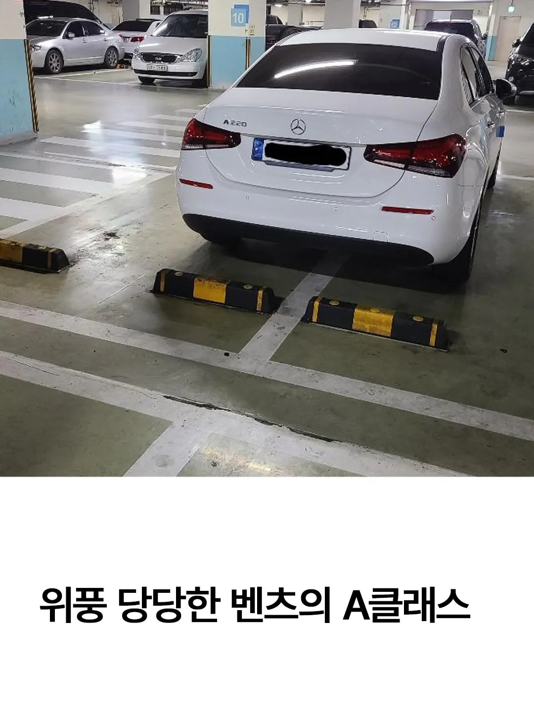 건들면 죽을 줄 알으라는 벤츠 차주 (3)