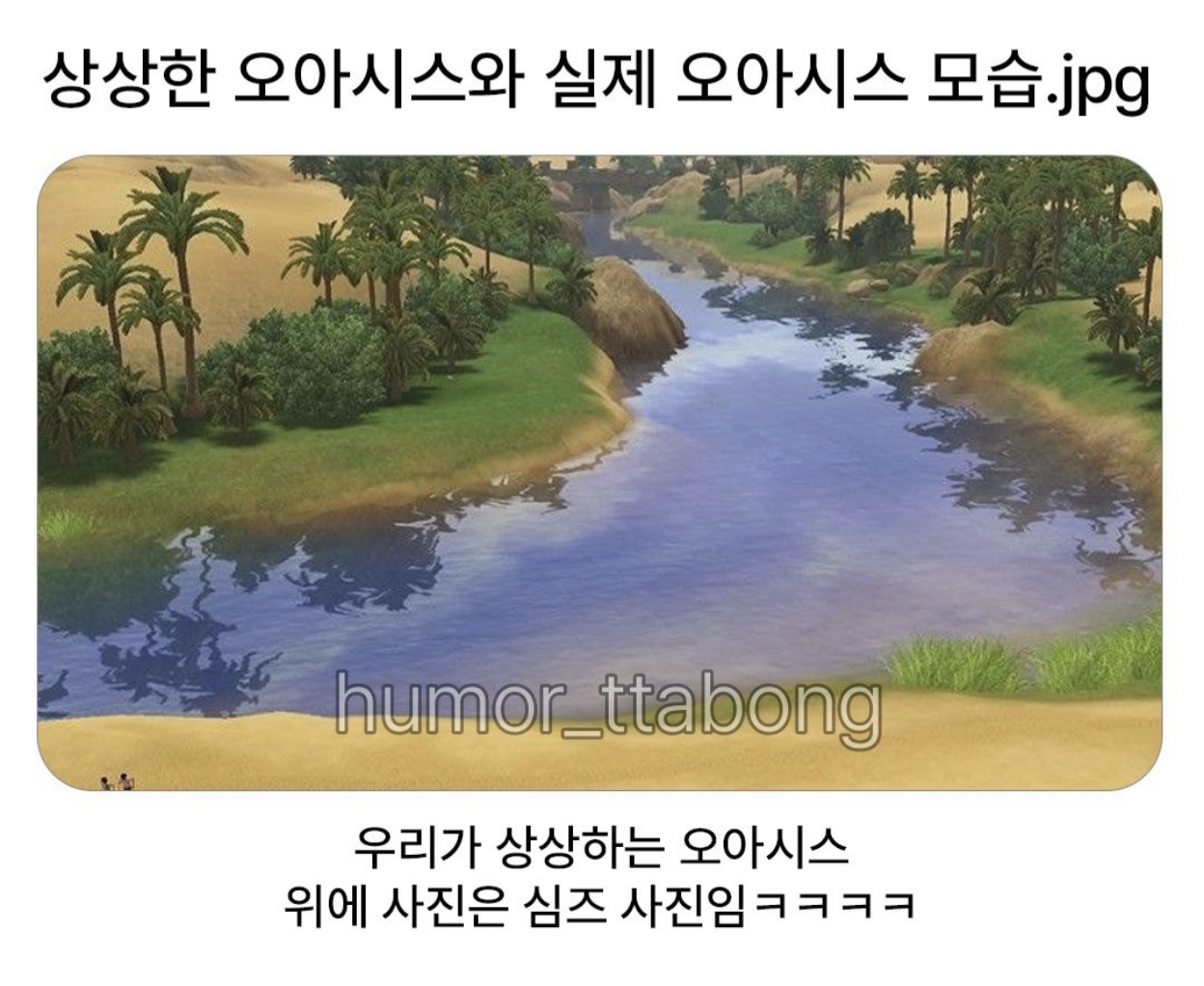 상상한 오아시스와 실제 오아시스 모습 (2)