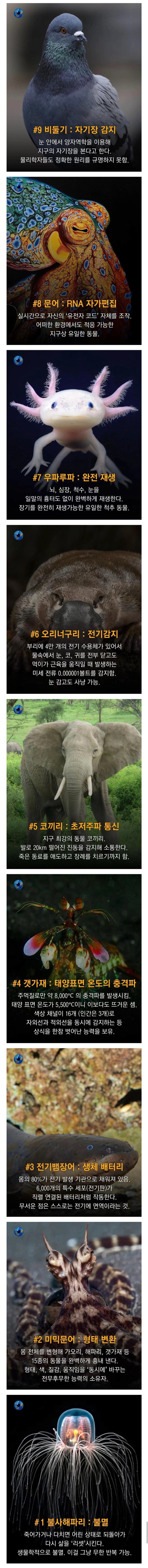 학계도 설명이 어려운 초능력을 가진 동물 9종