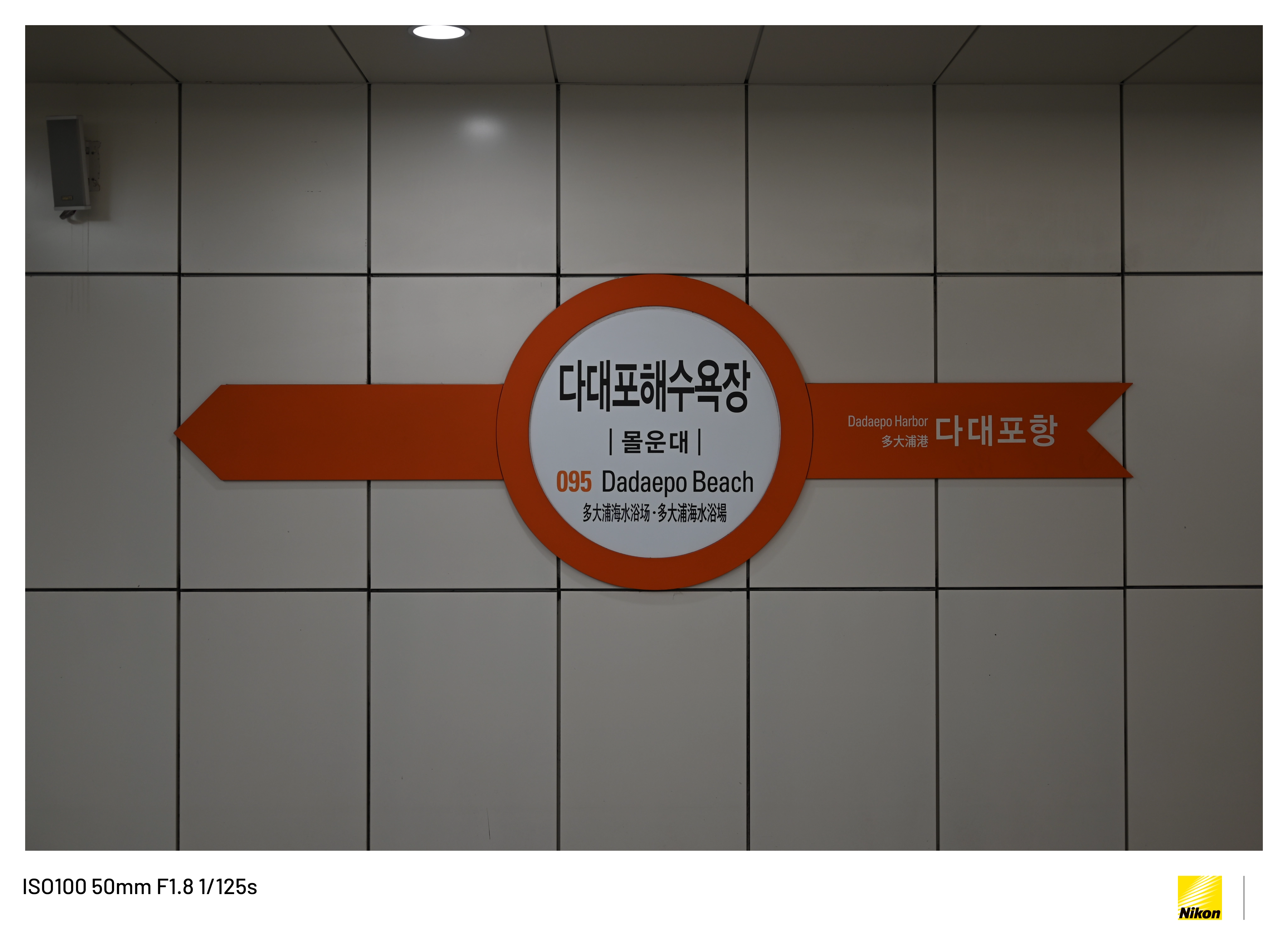 부산 다대포1