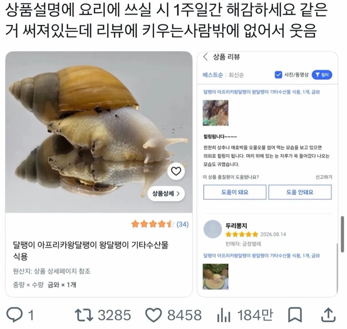 식용 달팽이