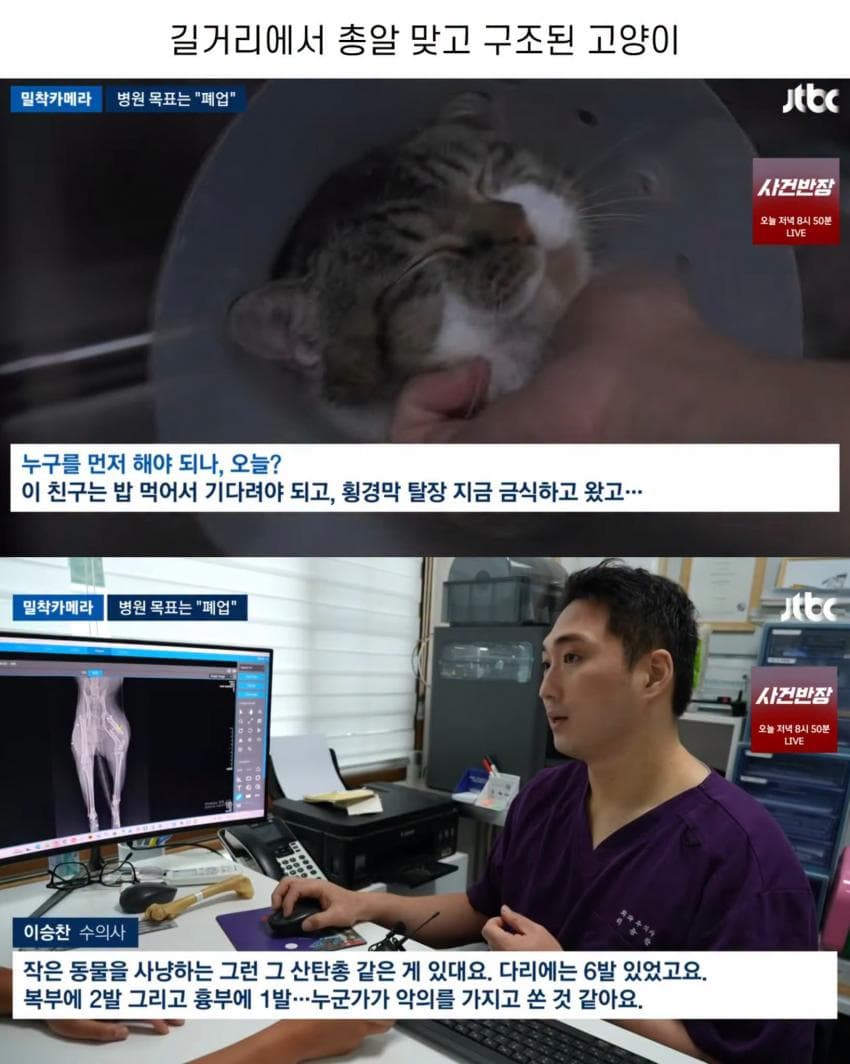 진료비 천 원이라는 동물병원 (2)