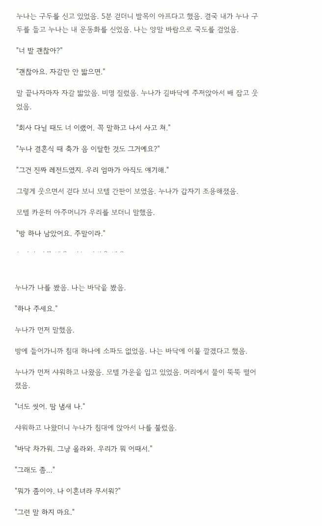 이혼한 누나랑 모텔 간 썰. (3)