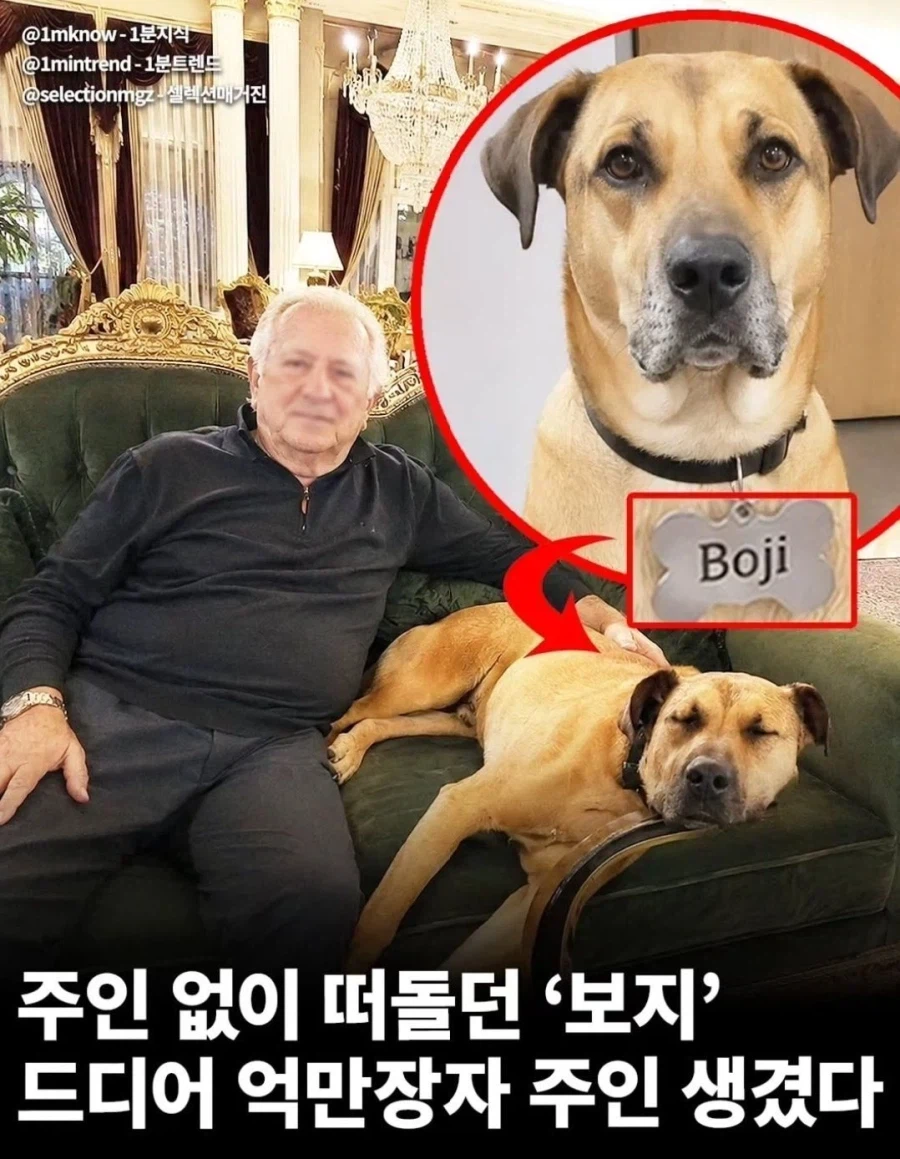 억만장자 주인님에게 사육당한 보지