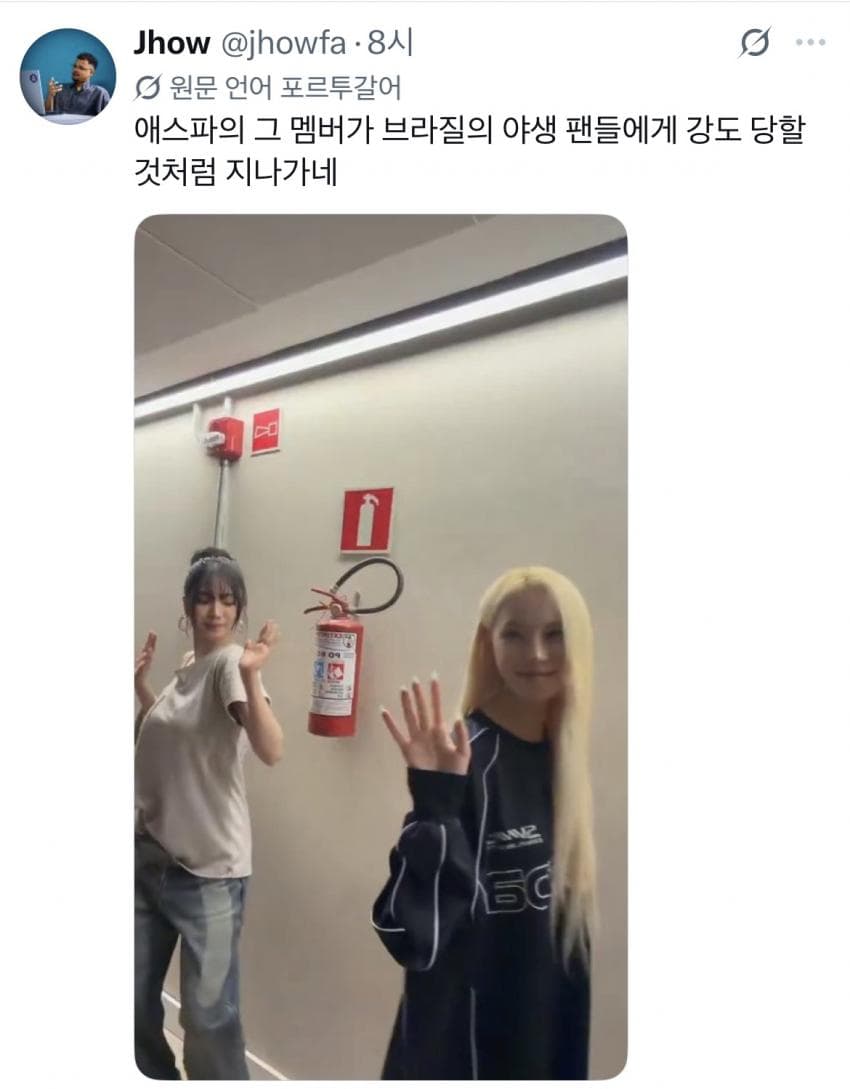 카리나 행동에 난리났다는 브라질 현지반응 (12)