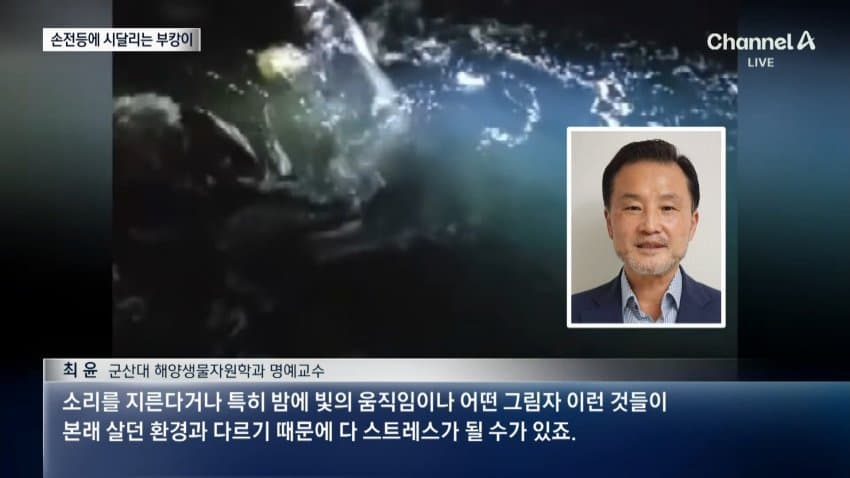 부캉이 보러... 결국 누적 100만명 돌파 (21)
