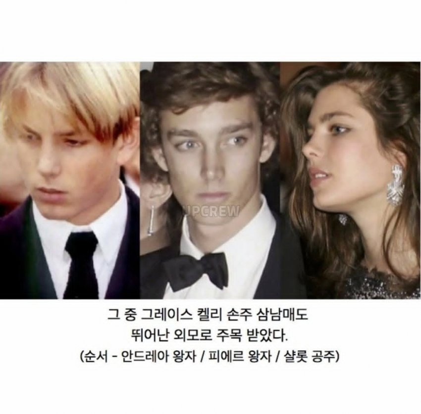 유전자 세탁 성공한 모나코 공국 왕실(공실) (3)