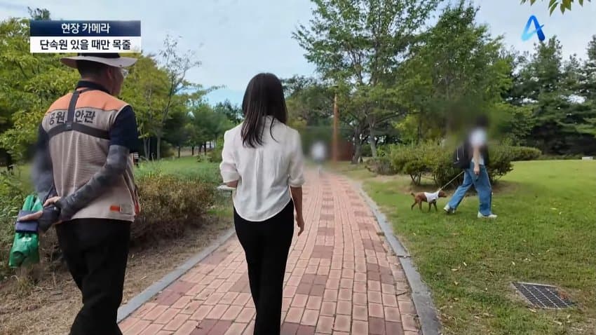 채널a) 단속원 퇴근하자...공원이 '개판' (9)