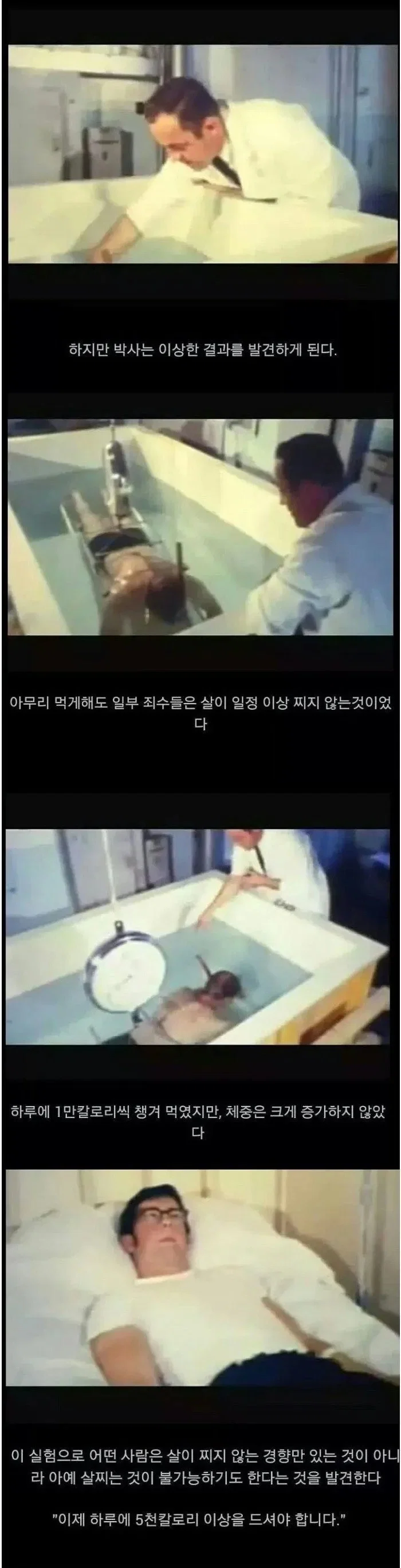 살이 안찌는 체질 실험 다큐 (2)