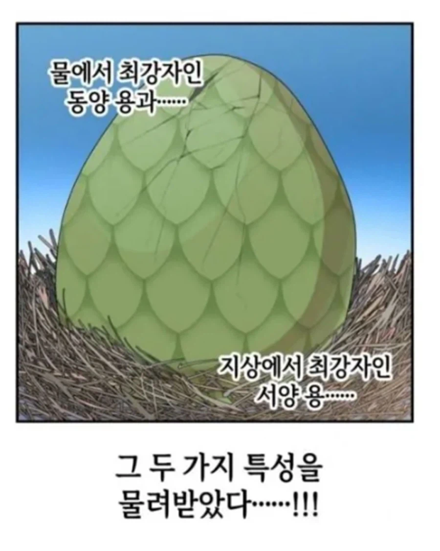 동양 용 vs 서양 용 (9)