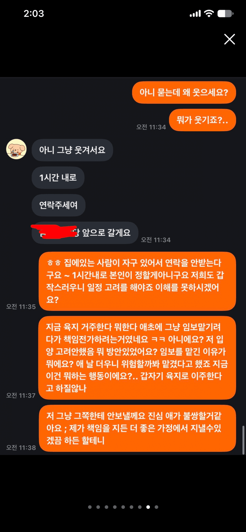 캣어머니한테 임보냥이 설계당한 당근 착한아줌마. (11)