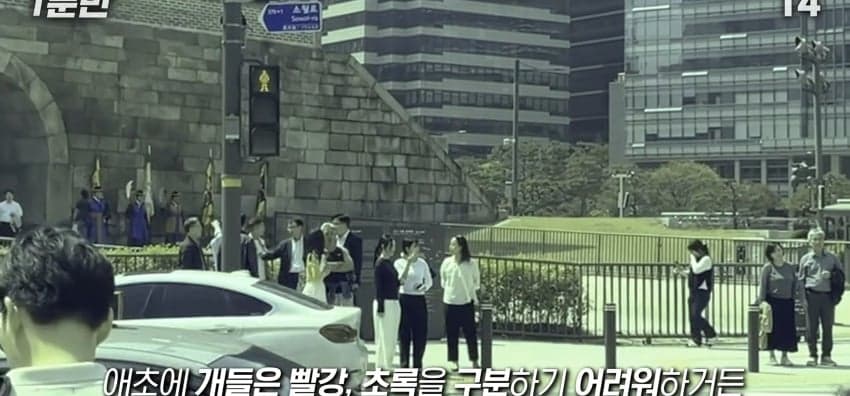 안내견은 목적지를 어떻게 아는 걸까? (28)