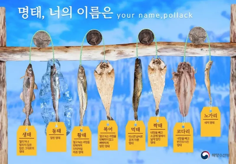 '씨가 말랐다'는 말이 적합한 생물