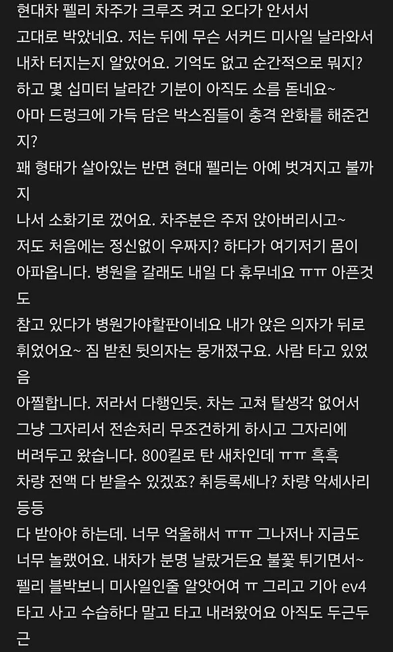 BYD 씨라이언 vs 현대 펠리세이드 크루즈 주행 추돌 사고 ㄷㄷㄷ (5)