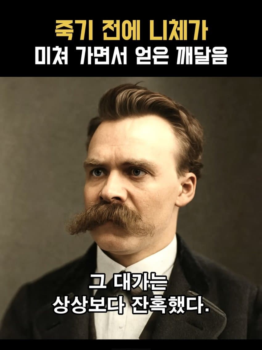ㅂㅅㅂㅅ 니체가 죽기 직전에 미친 이유 (15)