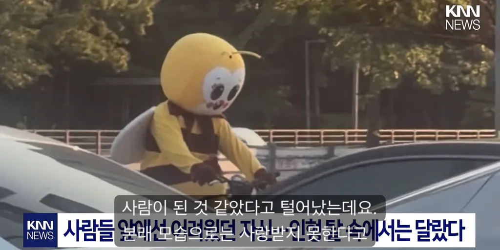 9년째 목격 된다는 꿀벌 인형탈을 쓴 사람