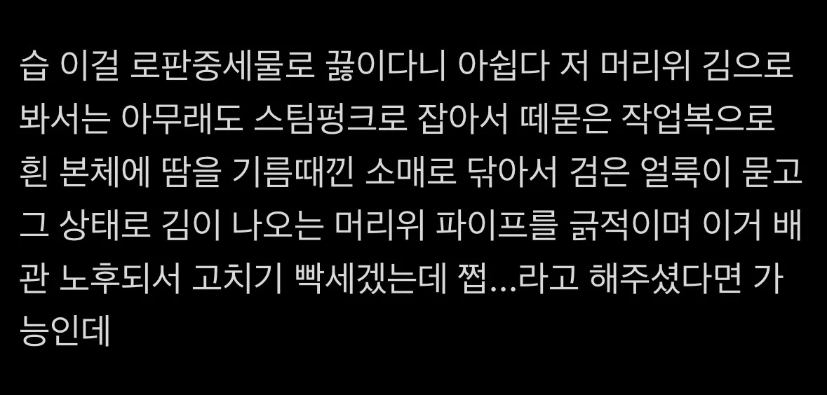 롯데월드 인외붐에 도전장을 내민 경동나비엔.... (3)