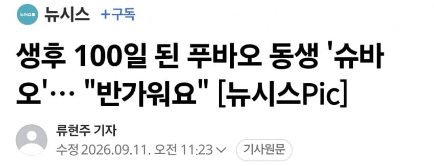 속보) 에버랜드 '바오패밀리' 막내 판다 이름은 '슈바오' (2)