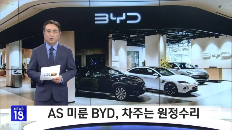 대환장 BYD 근황