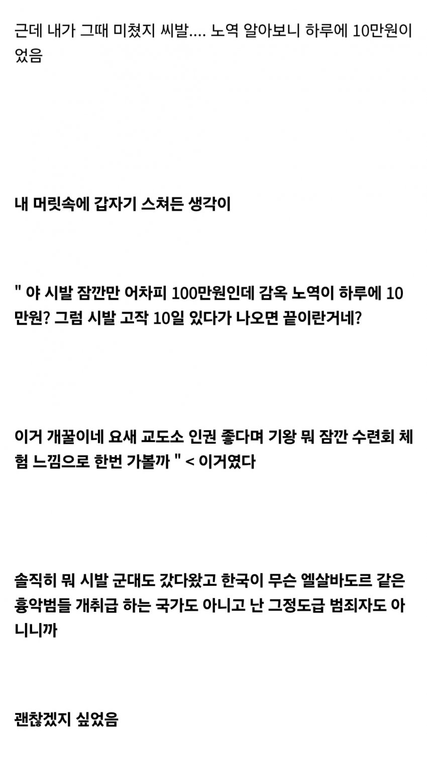 벌금 100만원 내기 싫어서 감옥간 회계사 준비생 ㅋㅋㅋㅋㅋ (28)