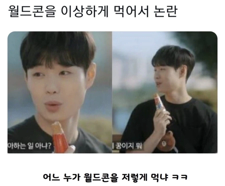 논란의 아이스크림